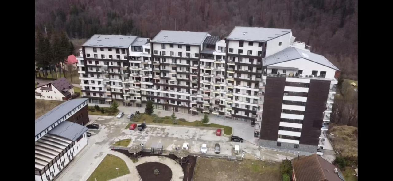 Perfect View * Sinaia